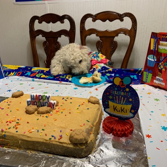 ""OUR RESCUES DOGS " - Picture 11 of 13